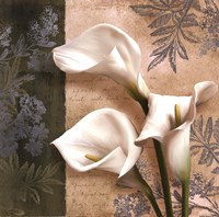 Lily Fair Fine Art Print