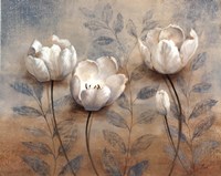 Summer's Embrace II Fine Art Print