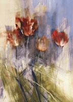 Tulips by Simon Addyman - 24" x 36"