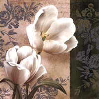 Tulip Fair Fine Art Print