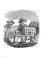 Plantation Scene Fine Art Print