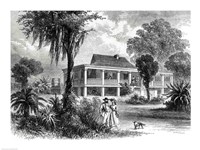 Planter's House on the Mississippi Fine Art Print
