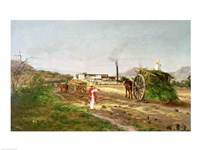 Peasants Collecting Sugar Cane Fine Art Print