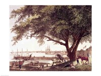 The City and Port of Philadelphia Fine Art Print