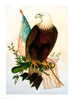 Bald eagle with flag Fine Art Print