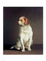 Portrait of a King Charles Spaniel by Louis-Leopold Boilly - various sizes