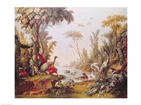 Lake with geese, storks, parrots and herons, from the Salon of Gilles Demarteau Fine Art Print