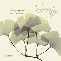 Serenity Gingko Fine Art Print