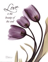 Blackberry Tulips, Love Fine Art Print