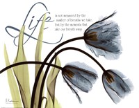 Mineral Blue Tulips...Life Fine Art Print