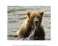 Brown Bear Fishing Fine Art Print