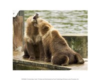 Grizzly Bear Cubs Fine Art Print