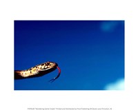 Wandering Garter Snake Fine Art Print
