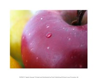 Apple Closeup Fine Art Print