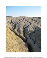 Cracked Earth Surface Fine Art Print