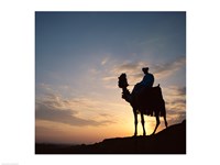 Silhouette of a man on a camel, Giza, Egypt Fine Art Print