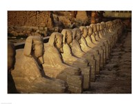 Avenue of the Sphinxes Karnak Temple Luxor Egypt Fine Art Print