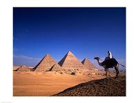 Riding a camel near pyramids, Giza Pyramids, Giza, Egypt Fine Art Print