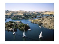 Sailboats In A River, Nile River, Aswan, Egypt Landscape Fine Art Print