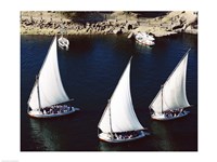 Sailboats in a river, Nile River, Aswan, Egypt - various sizes