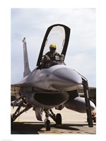 U.S. Air Force  F-16 Falcon Jet Fighter Fine Art Print