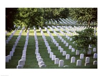 Arlington National Cemetery Arlington Virginia USA Framed Print