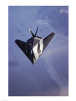 F-117 Stealth Fighter U.S. Air Force Fine Art Print