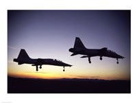 US Air Force  T-38 Trainers Fine Art Print