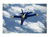 Blue Angels F-18 Hornet Fine Art Print