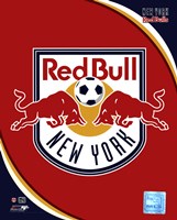 2011 New York Red Bulls Team Logo, 2011 - 8" x 10"