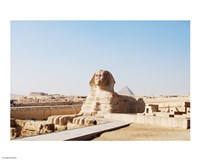 Sphinx Fine Art Print