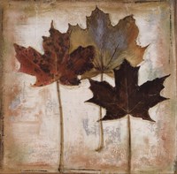 Natural Leaves III by Patricia Pinto - 24" x 24"