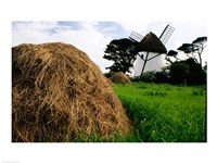 Traditional windmill in a field, Tacumshane Windmill, Ireland Fine Art Print