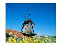 Windmill, Zaanse Schans, Netherlands In Flowers Fine Art Print