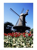 Low angle view of a traditional windmill, Queen Wilhelmina Garden, Golden Gate Park, San Francisco, California, USA Fine Art Print