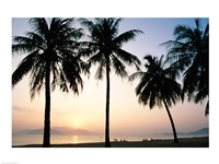 Silhouette of palm trees on a beach during sunrise, Nha Trang Beach, Nha Trang, Vietnam Fine Art Print