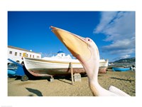 Pelican and Fishing Boats on Beach, Mykonos, Cyclades Islands, Greece Fine Art Print