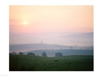 Sunrise near Hawes, Yorkshire Dales National Park, North Yorkshire, England Fine Art Print