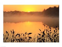 Sunrise over a lake Fine Art Print