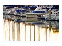 USA, California, Santa Barbara, boats in marina at sunrise Fine Art Print