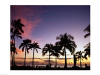 Silhouette of palm trees on the beach, Waikiki Beach, Honolulu, Oahu, Hawaii, USA Fine Art Print