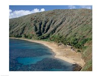 High angle view of a bay, Hanauma Bay, Oahu, Hawaii, USA Landscape Fine Art Print