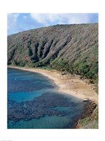 High angle view of a bay, Hanauma Bay, Oahu, Hawaii, USA Vertical Fine Art Print