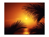 Kihei Maui Hawaii USA Fine Art Print