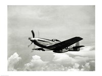 Low angle view of a military airplane in flight, F-51 Mustang Fine Art Print