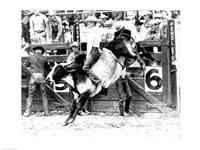 Side profile of a cowboy riding a bull at a rodeo Fine Art Print