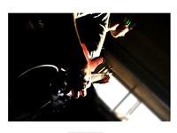 Bass Beets Fine Art Print