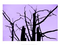 Perched and Sat and Nothing More I Fine Art Print