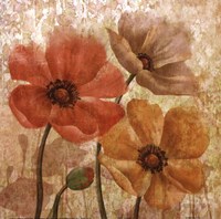 Poppy Allure I Fine Art Print