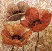 Poppy Allure II Fine Art Print